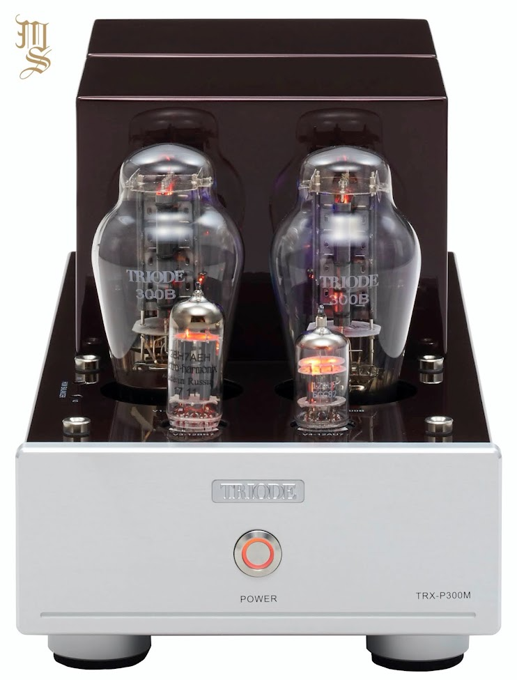 TRX-P300M - Amplificateur de puissance Mono (La pair)