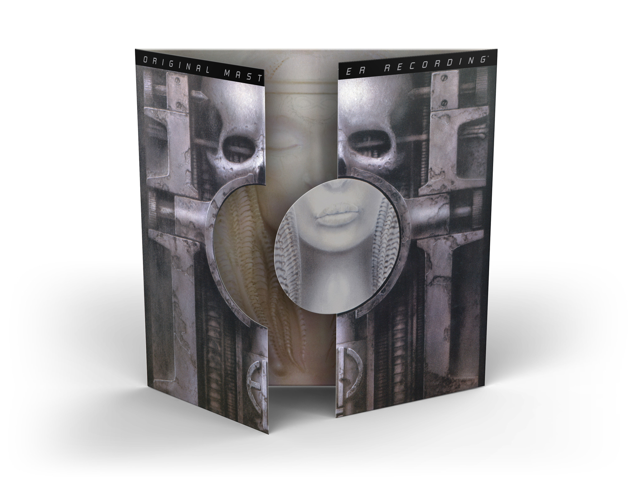 Brain Salad Surgery