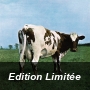 Atom Heart Mother 